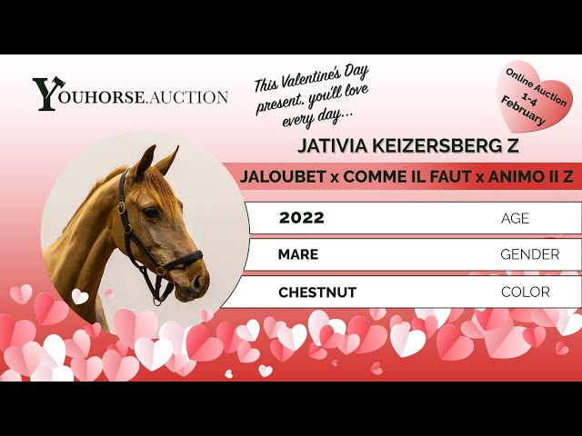 Jativia Keizersberg Z