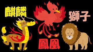 中将棋について中将棋連盟の方に色々聞いてみた