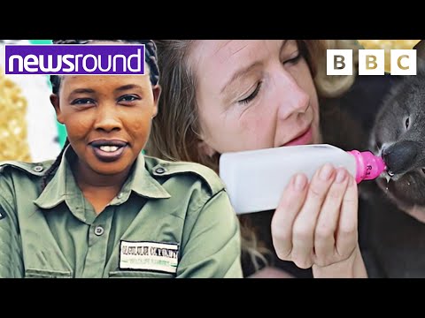 International Women's Day 2023: Inspiring Women Helping Wildlife | Newsround