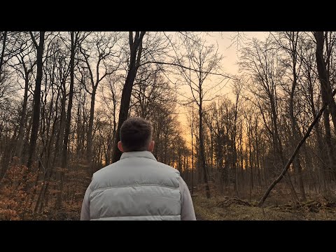 MiZeb - RAUM OHNE FENSTER (prod. by 38Beats)