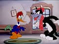 Woody Woodpecker Pantry Panic 1941
