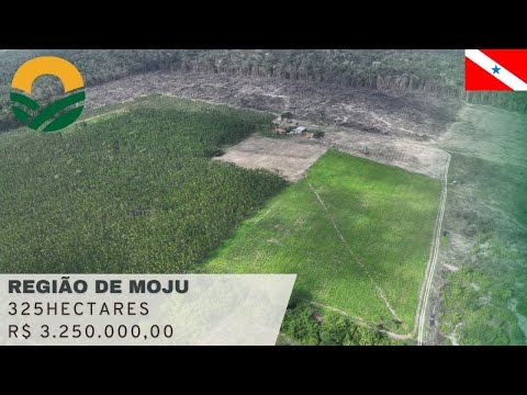 FA00447 Fazenda à venda em Moju no Pará - 325 ha com 50 ha de açaí produzindo