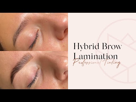 Hybrid Brow Lamination - Step By Step - Tutorial   |  Perfect Eyelash Hybrid Brow & Lash Tint