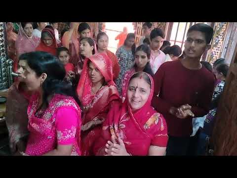 बाबा रामदेव मंदिर अखंड परिक्रमा वीडियो