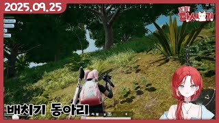 [2025/09/25 배치기 (w. 유리리, 후추, 하해)]