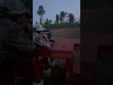 Civilian Browning BAR MKII Chambered in .30-06