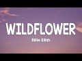 Billie Eilish WILDFLOWER Lyrics