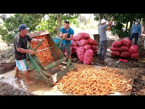 Ministry of Agriculture Takes the Media on a Carrot Tour