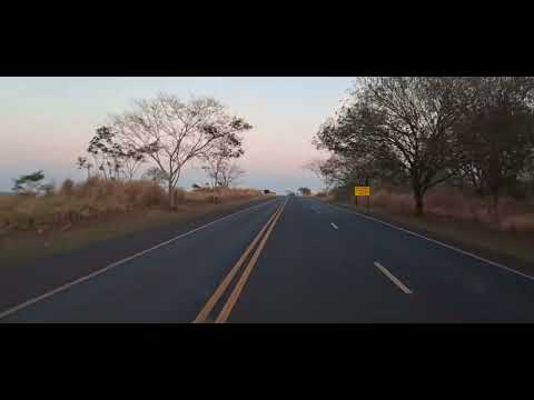 Pereira Barreto/SP - BR 262/SP 310