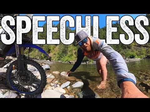 Wildest story ever riding in Idaho. Left us all  SPEECHLESS