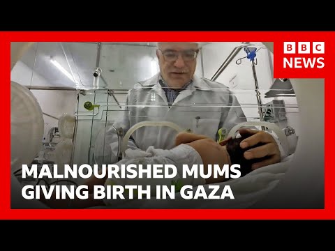 加薩醫院新生兒照護困境，醫療資源匱乏！BBC News (Inside Gaza hospital struggling to provide care to newborn babies | BBC News)