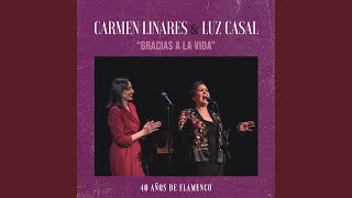 Kadr z teledysku Gracias a la vida tekst piosenki Carmen Linares & Luz Casal