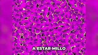 La T-Shirt de Biggie | Bad Bunny Ai REMASTER (Audio Oficial)