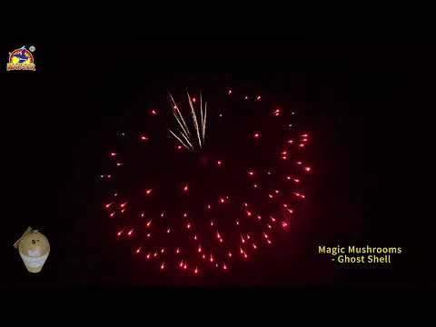 5inch Magic Mushrooms - Ghost Shell #DisplayShells #fireworkstesting