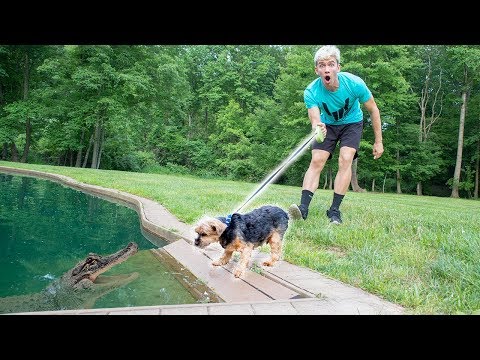 MONSTER IN POND VS DOG!! Video
