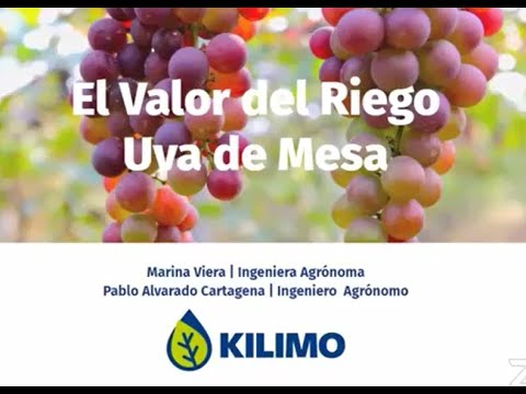 , title : 'Webinar "El Valor del Riego: Uva de Mesa" 🍇💧'