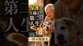 [保護犬と迎えた第二の人生]#保護犬 #犬との暮らし #第二の人生 #シニアライフ #老後の暮らし #人生の物語 #感動する話 #犬のいる生活 #シニア世代 #心に響く話