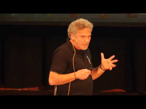 1/2: Dr. med. Michael D. F. Schmidt: Quan Dao Grundübungen der Kraft