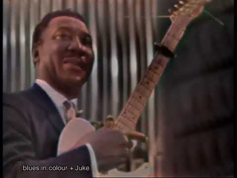 Muddy Waters - Tiger In Your Tank live [Colourised] 1964