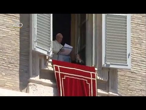 Regina Caeli du 1er juin 2014