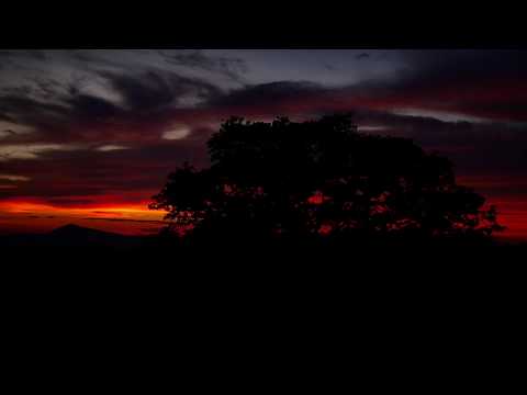 Ajay J C Colours of dawn