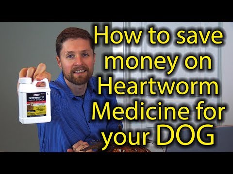 YouTube video about: Can you give dewormer and heartgard at same time?