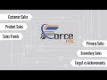 FForce - Field Sales Information System