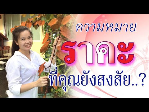 คลิกเพื่อดูคลิปวิดีโอ