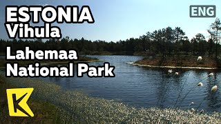 【K】Estonia Travel-Vihula[에스토니아 여행-비훌라]라헤마 국립공원/Lahemaa National Park/Wetland/Lake