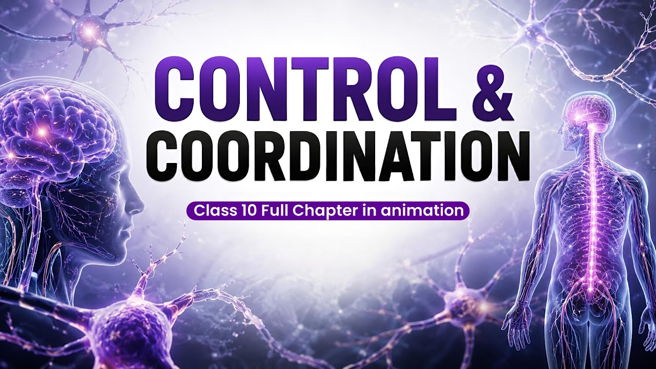 Thumbnail for Control & Coordination class 10 | Biology ch 2 in Animation | One shot in 6 mins