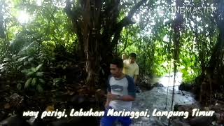 preview picture of video 'Jernih banget, kolam pemandian alam way perigi'