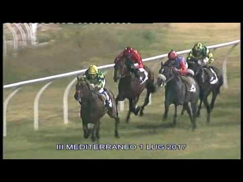 Galoppo corse del 1 Luglio 2017