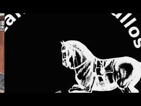 Entwicklung Piaffe und Passage (Dressurausbildung)