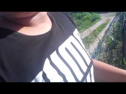 Frecciarossa 1000 con nm