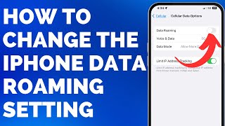 Data Roaming iPhone (How to Turn it On or Off)