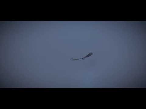 Shadow of the Colossus - 16th colossi