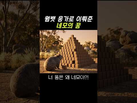 살다살다 네모 똥을 다보네