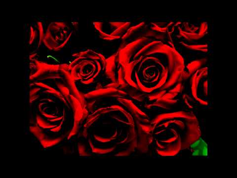 C21 FX - Blood Red Roses Extended