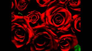 C21 FX - Blood Red Roses Extended