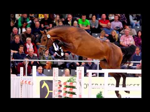 TOYS - www.gestuet-sprehe.de