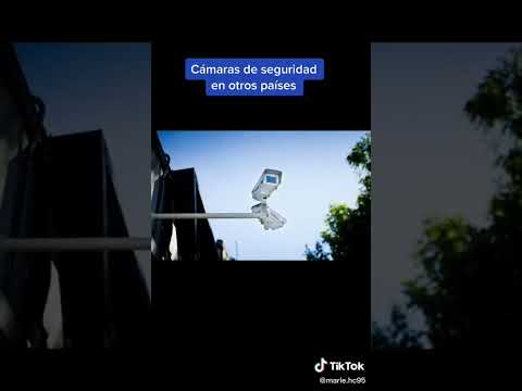 marle.hc95 x DJ Dmonio