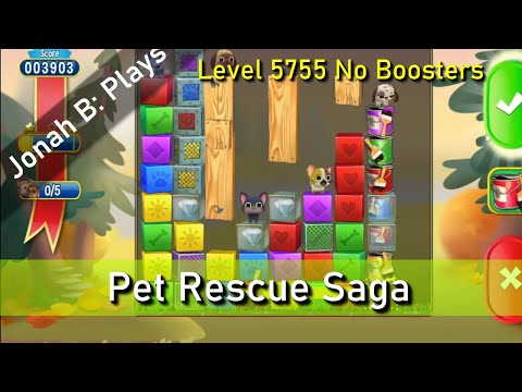 Pet Rescue Saga Level 5755 No Boosters