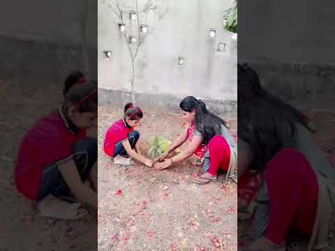 “एक पेड़ माँ के नाम 2.0”