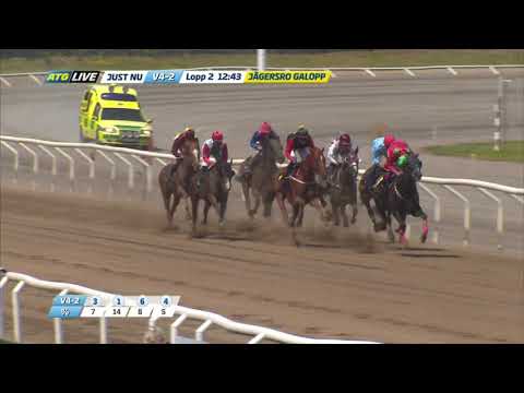 Svenskt Derby Trial 2019 - Red Cactus