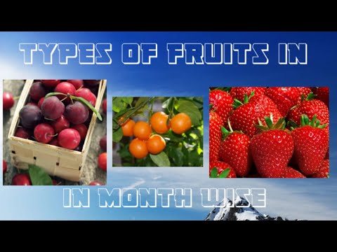 Types of fruits in month wise 🍓🍒🍎🍉🥭🍍🍌