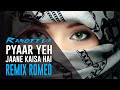 Pyaar Yeh Jaane Kaisa Hai || Remix Romeo || Rangeela || Bass Mix