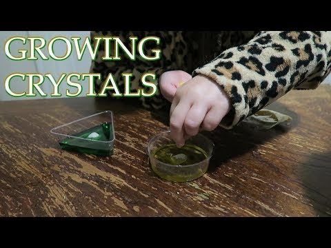 Crystal Growing Science By Me Kit