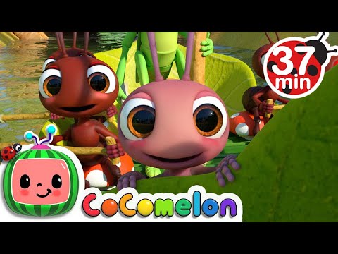 Row, Row, Row Your Boat (Ant Version) + More CoComelon Nursery Rhymes & Kids Songs