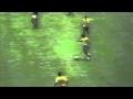 CARLOS ALBERTO - against italy 1970