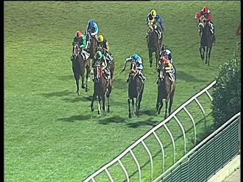 Galoppo 03/02/2018 - 6ª corsa